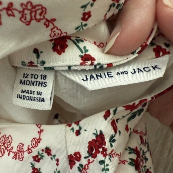 Janie And Jack Girls Ivory Floral Party Dress Size 12 To 18 Months Classic - Picture 6 of 8